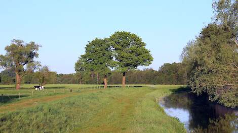 Hoger nitraatgehalte na invoering bufferstroken