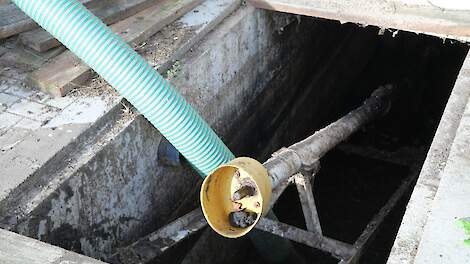 Mogelijk honderden melkveehouders geholpen met emissiereductie door melasse