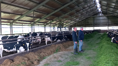 Kick Start Brok voor een snelle lactatiestart en hogere melkproductie