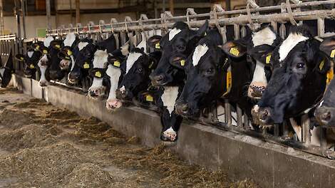 Langetermijnverwachting melkprijs stijgt naar 51,50 euro