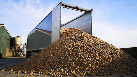 Voeraardappels: dé manier om nu voordelig energie toe te voegen aan je rantsoen