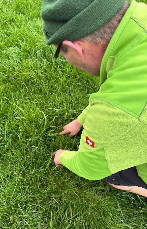 Reinders doet regelmatig een graslandcheck: "Dit perceel heeft mooie dichte zoden met goede grassen waardoor onkruid minder kans maakt."