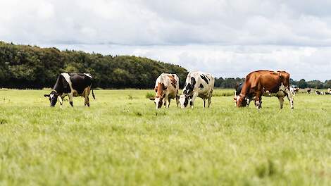VK-Oost-leden voldoen aan EU-nitraatrichtlijn
