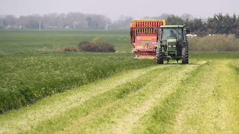 Vers gras op stal zorgt voor efficiënter voeren én duurzamer boeren