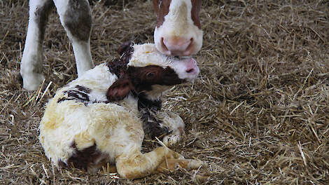 Nieuwe erfelijke afwijkingen meer samen aanpakken