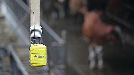 Meten op het erf als uitweg uit het stikstofslot