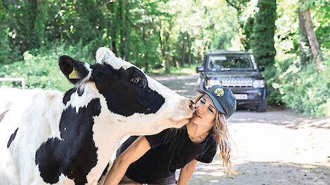 Een bedrijf opbouwen van nul naar zeshonderd koeien