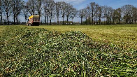 Fotoserie: Melkveehouder Spierings start vroeg met eerste snede: ‘Omstandigheden zijn goed, dus je moet het pakken’