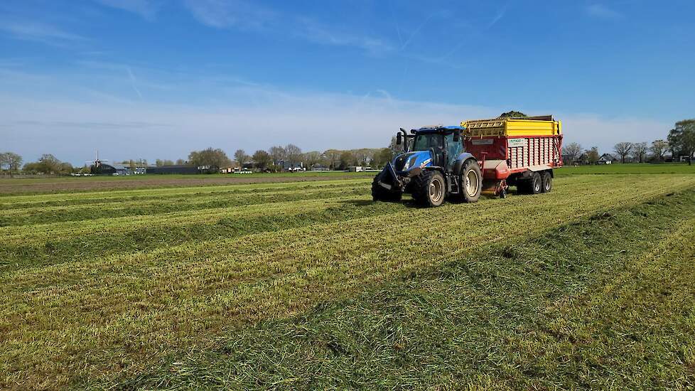 De eerste snede bij Daan Spierings wordt binnengehaald