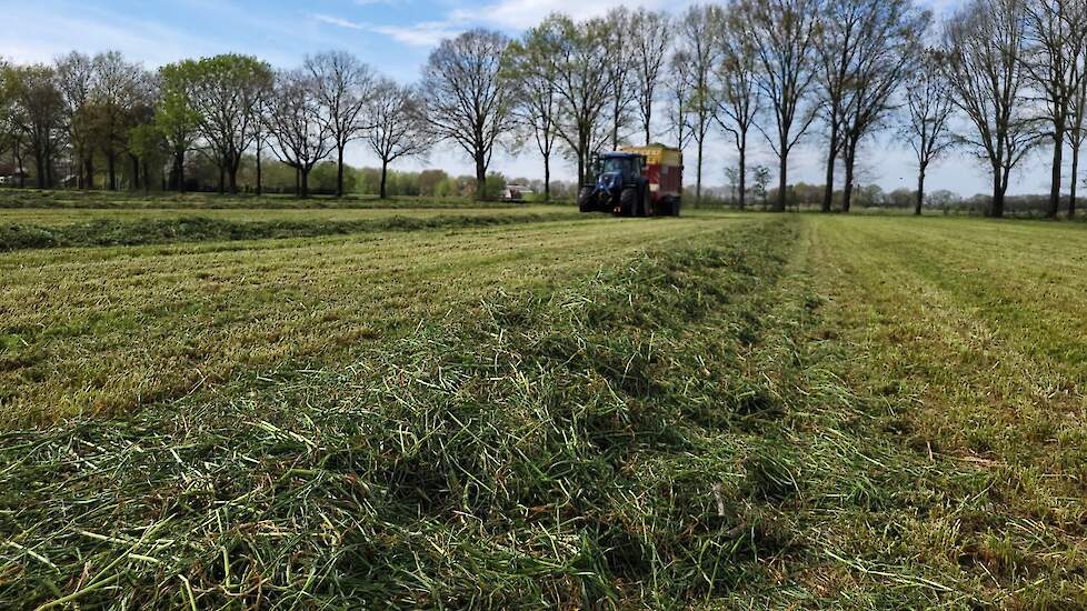 Gras in het zwad met op de achtergrond de opraapwagen