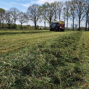 Gras in het zwad met op de achtergrond de opraapwagen