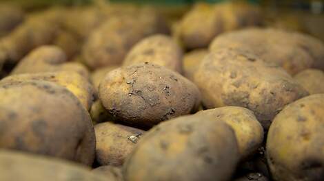 Ben je een dief van je portemonnee als je nu geen voeraardappelen voert?