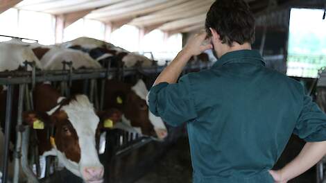 Minder meldingen Vertrouwensloket, maar problematiek melkveehouderij complexer