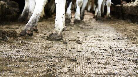 Afwijkende stalvloer vergroot risico op handhaving bij melkveehouders