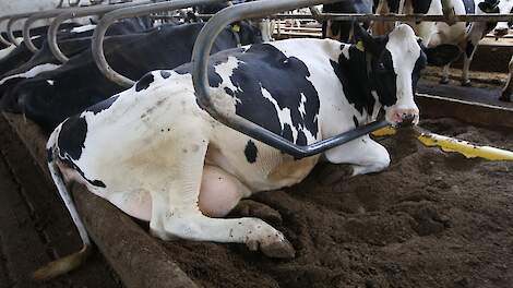 Rechter: geen herstel ondanks onjuist besluit over afroming fosfaatrechten na te laat bezwaar