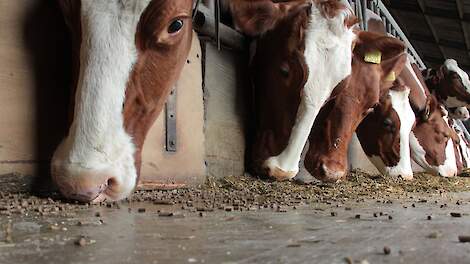 Convenant Voerspoor lanceert campagne ‘Verlaag ruw eiwit, dat loont’