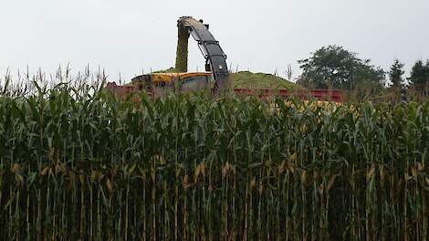 Spuitzone van 50 meter zet druk op voerproductie melkveehouder