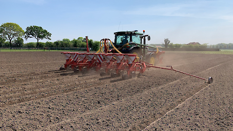 Video: Sorghum als rustgewas: hoe pak je het slim aan in 2026?