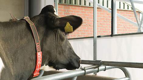 Deel voergang telt mee voor Lbv-plus, minister moet subsidie herzien