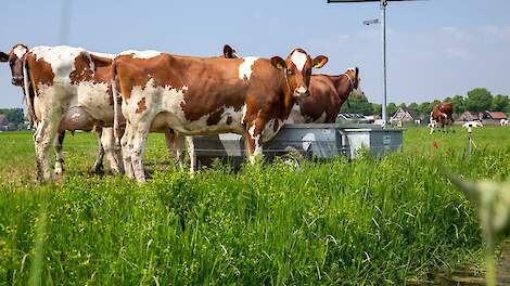 Verhuisde melkveehouder stap dichter bij bouw nieuwe stal