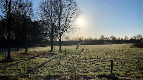 Bosgrond of landbouwgrond? Dit moet je weten