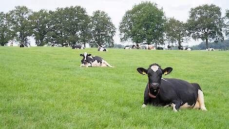 Minder dan 2 procent landbouwgrond wisselt van eigenaar