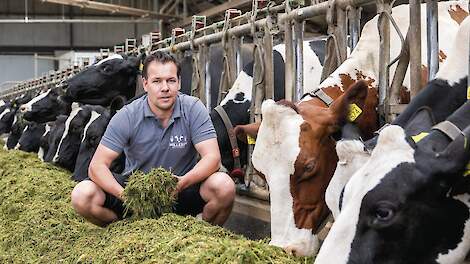 Melkveehouder William Nillesen zet met On the way to PlanetProof extra stappen: ‘Hogere prijs door goed te zorgen’