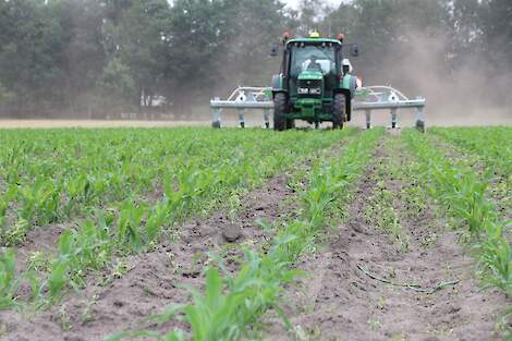 Tractor schoffelt jonge ma&iuml;s na zware regen op dichtgeslagen bodem