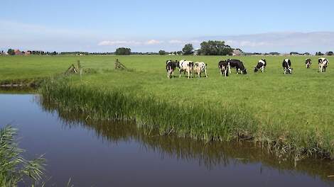 Vogelgriep op Friese melkveehouderij lijkt incident