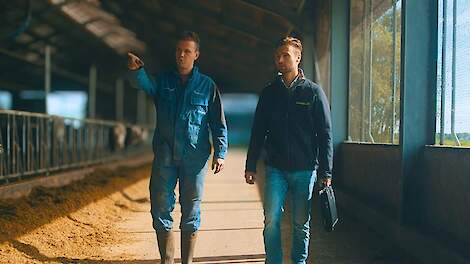 Monovergisting op het erf: wat komt er allemaal bij kijken?