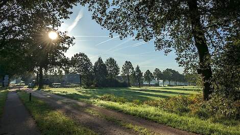 Agractie furieus op de provincie Drenthe: 'Drenthe gooit boeren voor de bus!'
