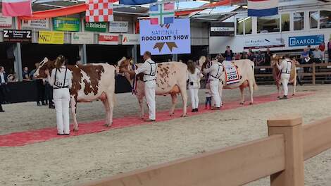 Nationale Roodbontshow groeit naar 212 inzendingen