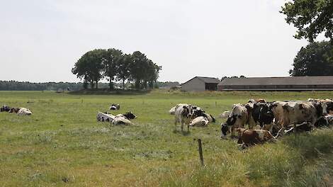 CBb: natuurgrond telt niet mee voor derogatie