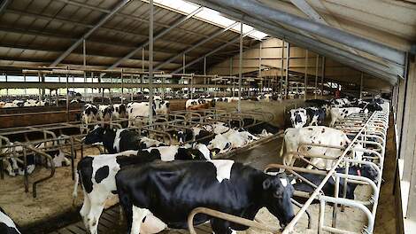 Huidige melkprijs flink lager dan kritieke melkopbrengst van 46,66 euro per 100 kilogram