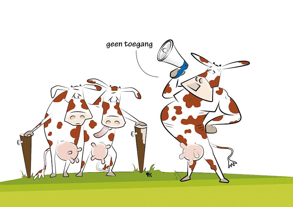Illustratie van koeien