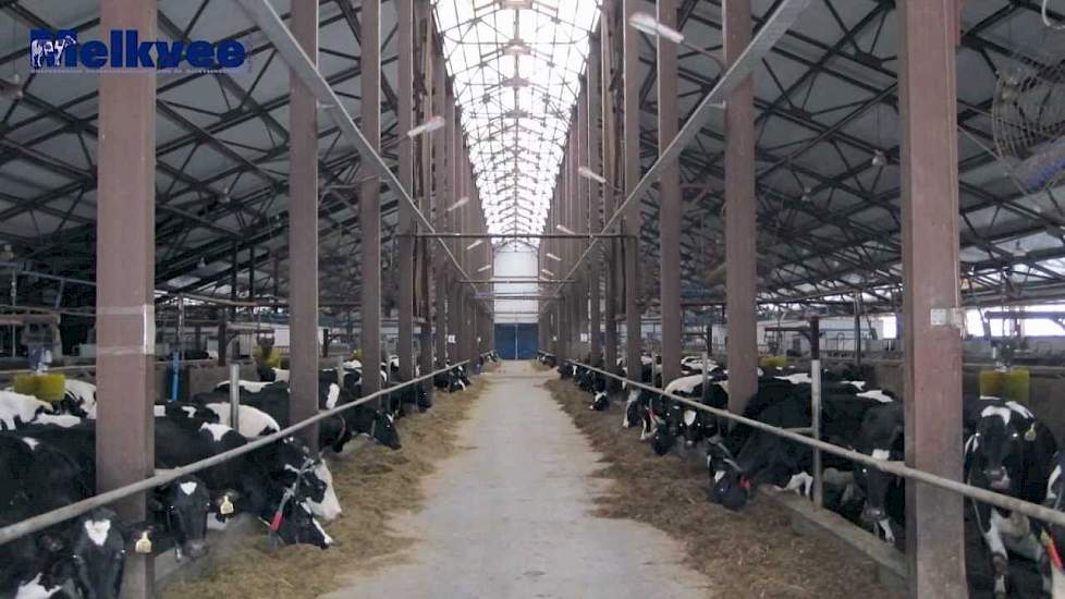 Gigantische melkbedrijven in Rusland