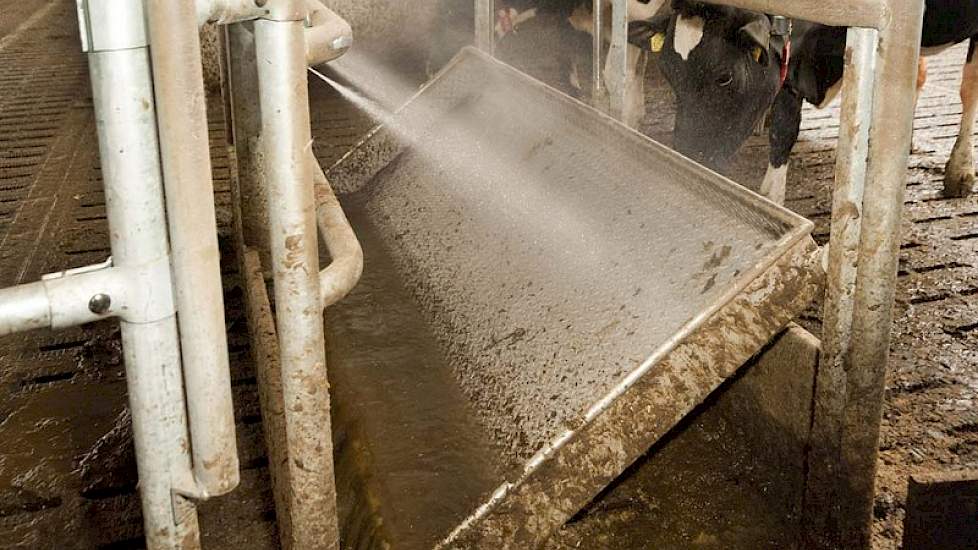 Investeren flexibel mist Driehonderd koeien en toch volop vrijheid | Melkvee.nl - Nieuws en kennis voor de melkveehouder Investeren flexibel mist Driehonderd koeien en toch volop vrijheid | Melkvee.nl - Nieuws en kennis voor de melkveehouder