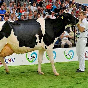 De extreem grote Bons-Holsteins Koba 167 (v. Stormatic) van Nico Bons uit Ottoland werd door de internationale jury verschillende beoordeeld. Toch was het genoeg voor het reservekampioenschap bij de zwartbonte oudere koeien.