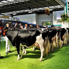 Buiteneind Annecy 2 (v. Lucky Mike) van Herman Scherpenzeel uit Nieuwland haalde een 1A-klassering in rubriek 6.