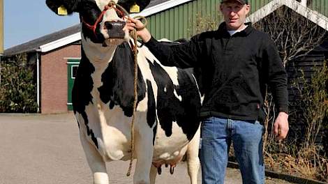 Teus van Dijk met ‘de beste fokkoe van Nederland’, Wilhelmina 296 (Lucky Leo x Ideal). Wilhelmina 296 (A 90) is de moeder van de nationale kampioenes Wilhelmina 358 (v. Juror) en Wilhelmina 369 (v. Allen). Ze produceerde al ruim 130.000 kg melk en is nog
