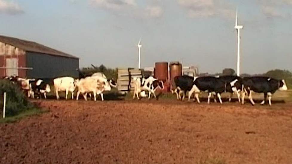 Nederlandse boer Aukes bij top van Frankrijk