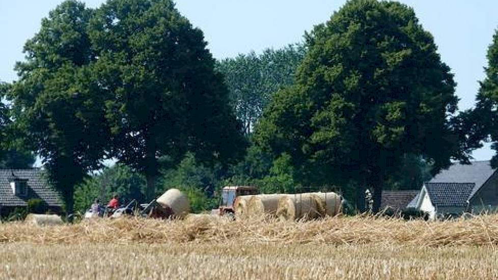 Ambacht Aanvankelijk Achteruit Eerste stro af land 60-70 euro per ton | Melkvee.nl - Nieuws en kennis voor  de melkveehouder