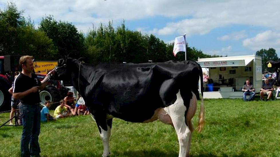 Stouwdamshof Malve 129 (Goldwyn x Morty)van de fam. Van 't Hof te Oosterwolde.