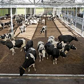 De BioBodem is een combinatie van een biofilter en een compostbodem op een zuigbeluchtingsvloer.