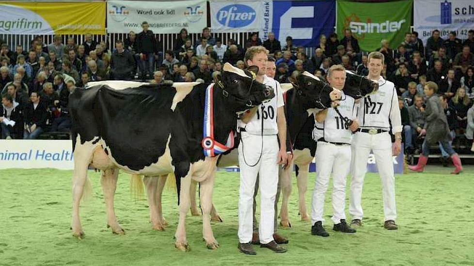 Van links naar rechts de nummers 1, 2 en 3 van het zwartbonte vaarzenkampioenschap.