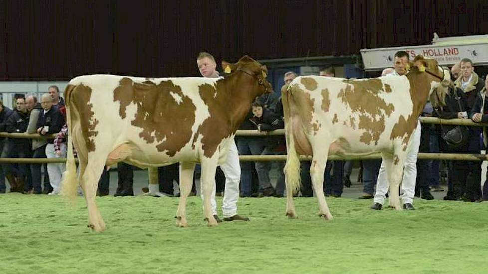 Nogmaals Els 286 en Barendonk Wilma 273.