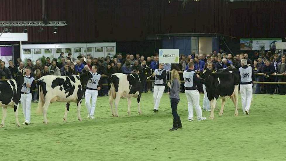 Na de middenklasse presenteerde CRV een dochtergroep van Cricket.