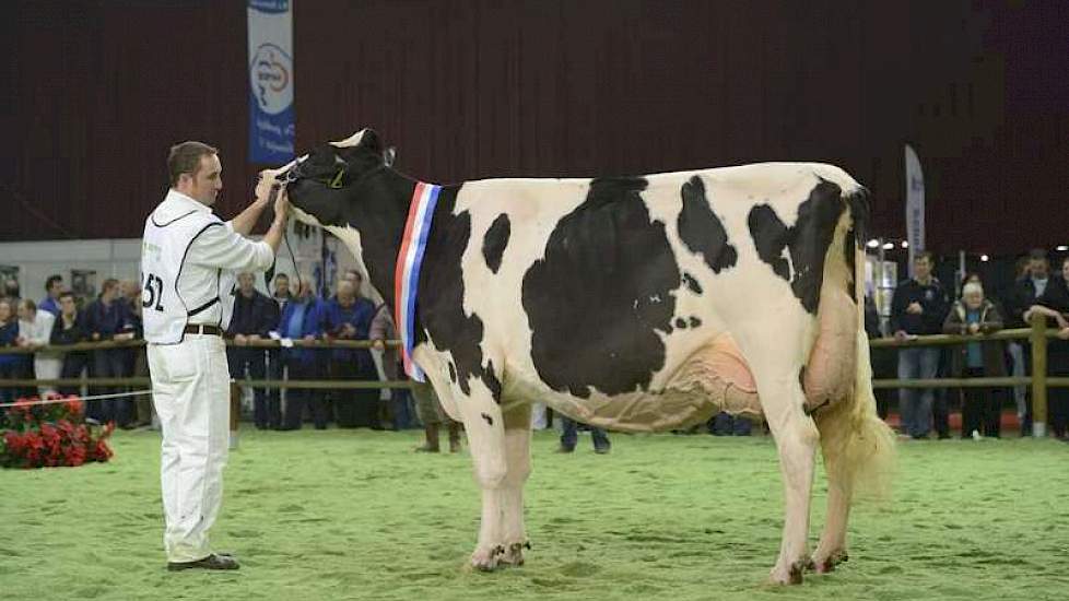 Kampioene bij de zwartbonte senioren Bons-Holsteins Ella 158 (v. Mailing).