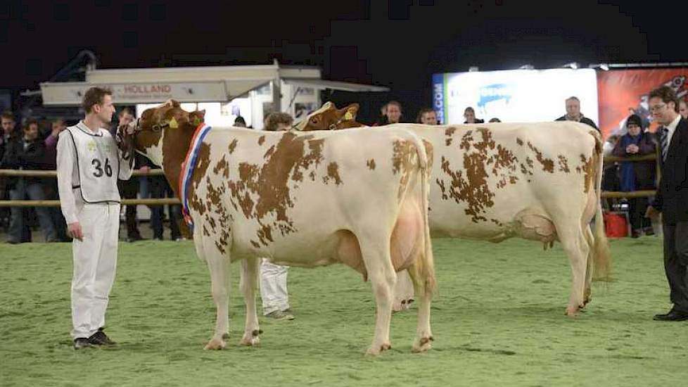 Kampioene Wilma 208 (voorgrond) en reservekampioene Trilux 18.