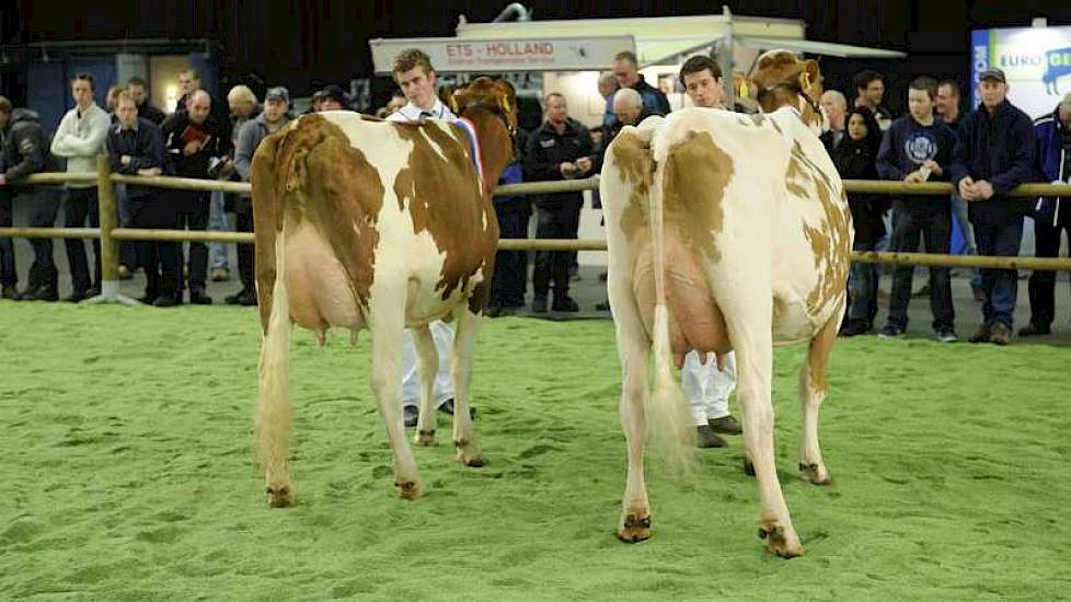 JU Lonia 154 en Bons-Holsteins Aaltje 94.
